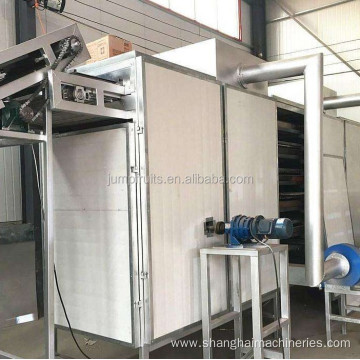 Dried Fruit Processing Line Dried Apricot Making Machine